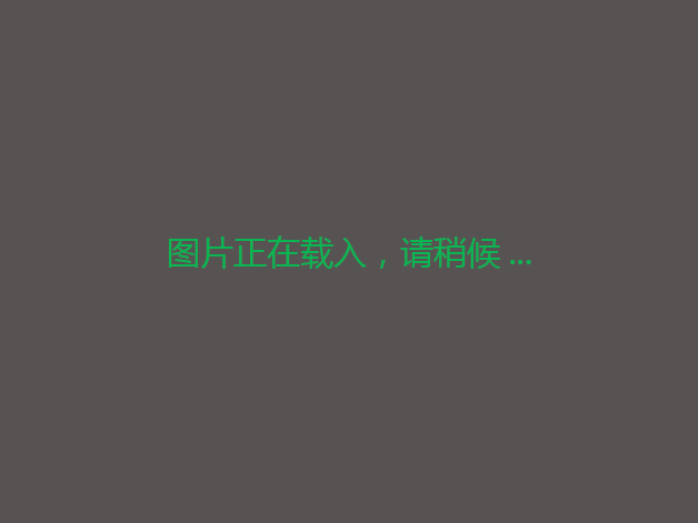 白城镇南种羊场180亩水田出租